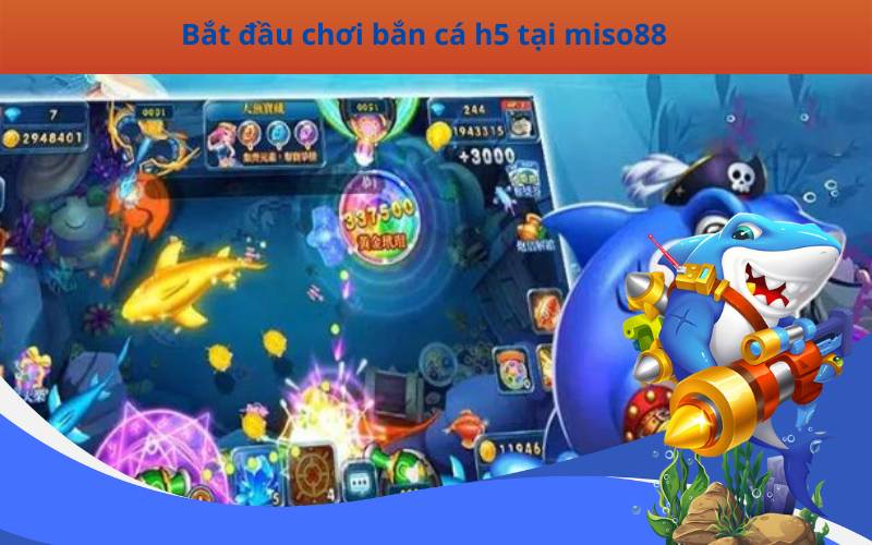 Bắt đầu chơi bắn cá h5 tại miso88