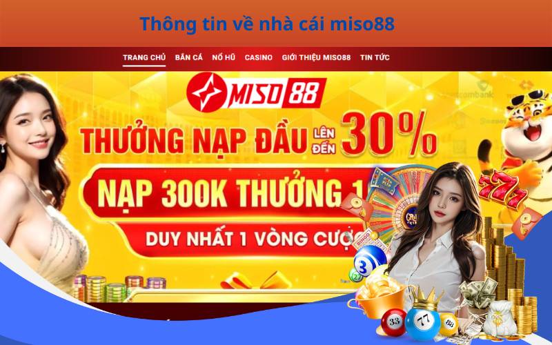 Thông tin về nhà cái miso88