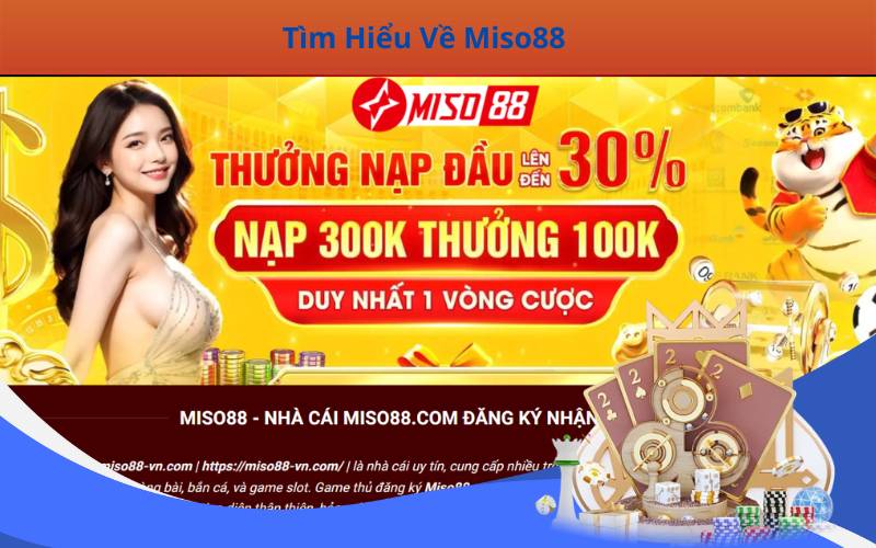 Tìm Hiểu Về Miso88