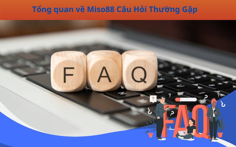 Tổng quan về Miso88 Câu Hỏi Thường Gặp